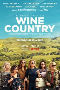 Download Wine Country (2019) BluRay Hindi Dual Audio 480p [390MB] | 720p [1.1GB]