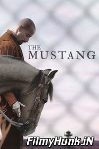 Download The Mustang (2019) Full Movie Hindi Dubbed Hindi-English (Dual Audio) 480p | 720p | 1080p