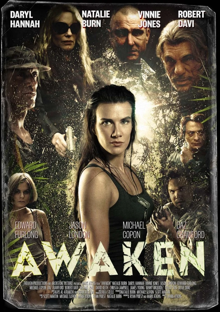 DHS  Awaken 2015 alternate movie poster