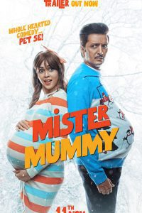 Mister Mummy (2022) Hindi Full Movie  WEB-DL [Hindi DD5.1] 480p 720p 1080p Download