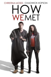 How We Met (2016) WEB-DL Dual Audio {Hindi-English} Movie 480p 720p 1080p Flmyhunk