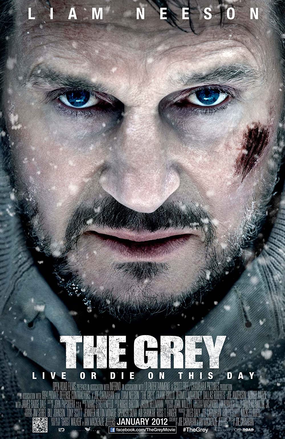 The Grey 2011