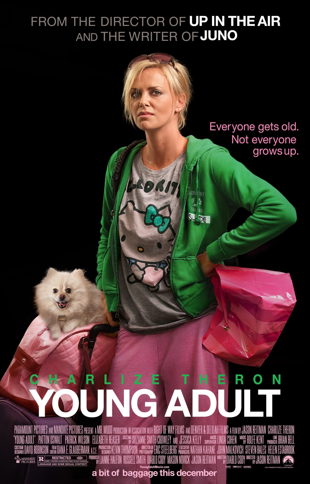 Young Adult 2011