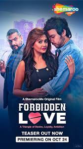 Download [18+] Forbidden Love (2024) Hindi SM WEB-DL Full Movie 480p 720p 1080p