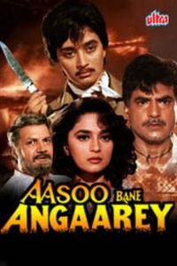 Download Aasoo Bane Angaarey (1993) Full Hindi Movie 480p 720p 1080p