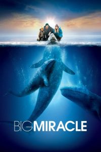 Download Big Miracle (2012) Dual Audio (Hindi-English) Bluray Full Movie 480p 720p 1080p